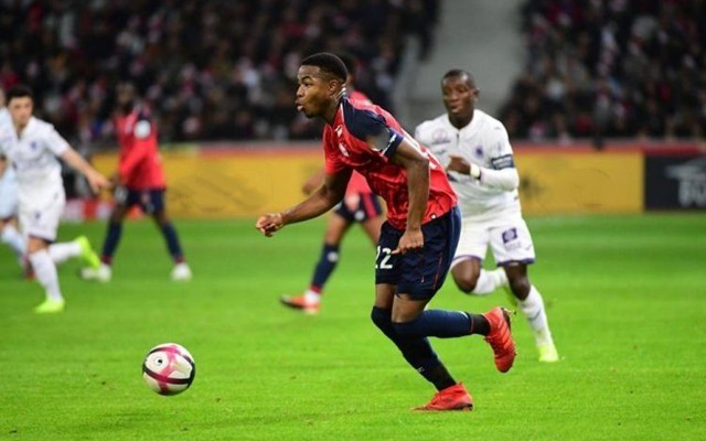 的赛季证明 的赛季证明